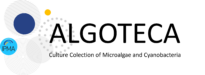 logo algoteca
